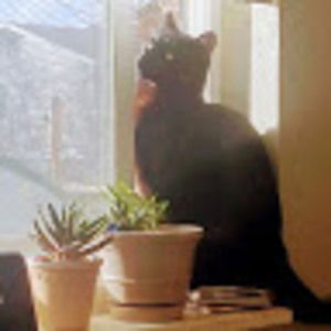 Meet your Posher, Ainsley